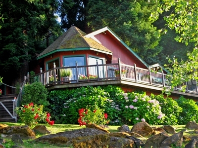 Redwood Tree House